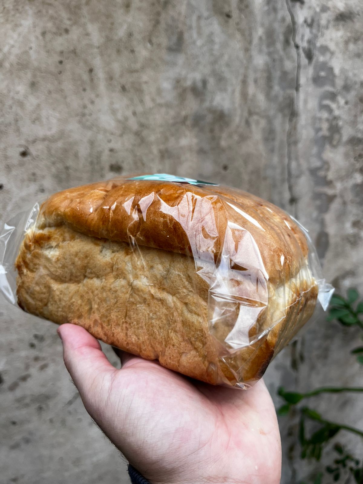 Pan Brioche